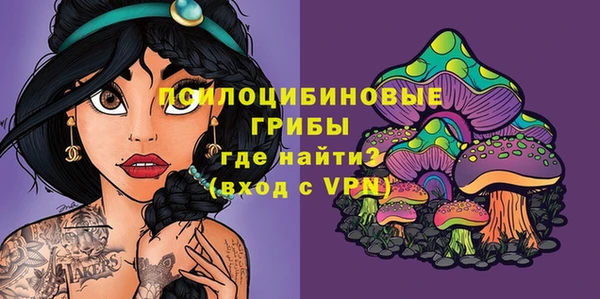 дурь Абаза