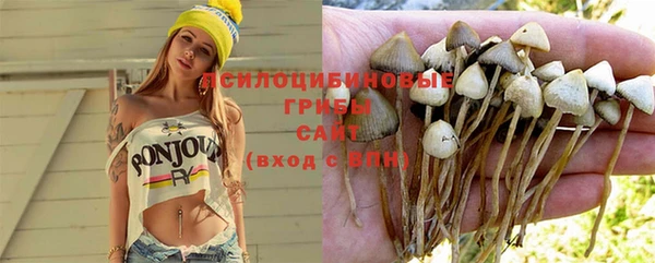 прущие крисы Покровск